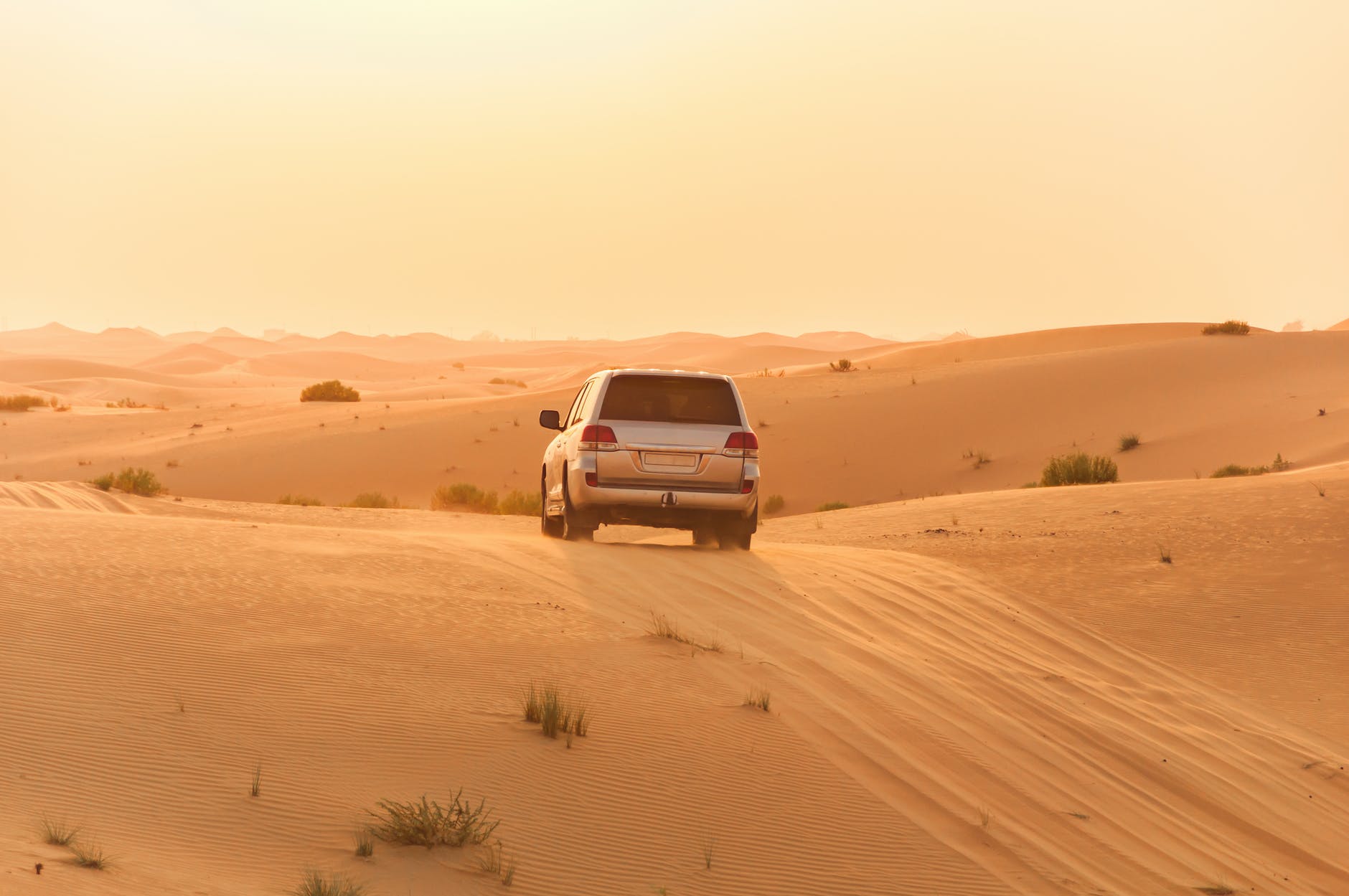 Evening Desert Ride all Tours in the United Arab Emirates and Dubai.