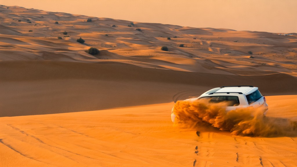 Desert Safari Tour with Overnight Stay.